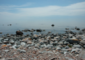 Caribou Island Rocky Shoreline