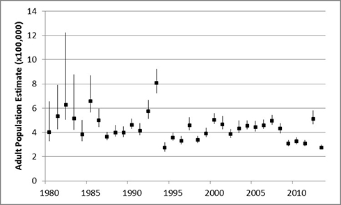 adult population estimate chart