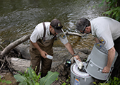 Technician Biologist Setting Auto Sampler